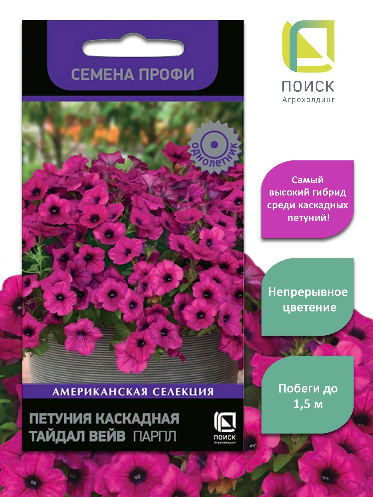 Петунья тайдал. Петуния Тайдал Вейв Парпл. Петуния Вейв Парпл семена. Петуния каскадная Тайдл Вейв Парпл. Петуния каскадная Вейв Парпл Классик.