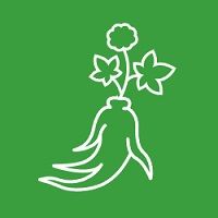 Алтайская-травница — купить товары Алтайская-травница в интернет ...
