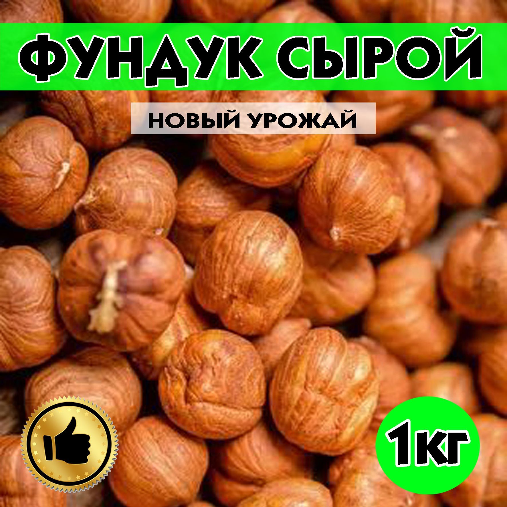 Фундук как сушить. Фундук сырой. Фундук характеристика. Фундук и Лесной орех 1 и то же.