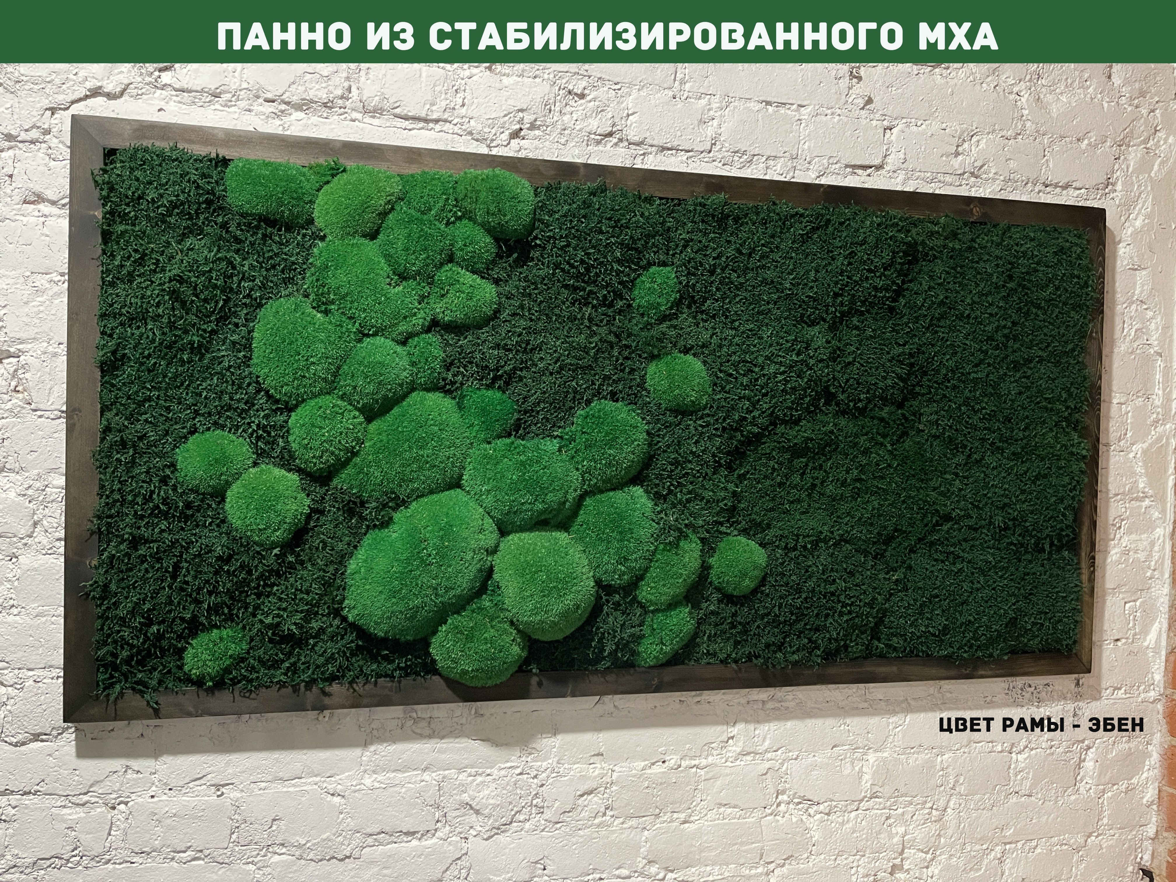 Стабилизированный ответ. Стабилизированный мох цветной. стабилизированный мох цвета. стабилизированный мох текстура.