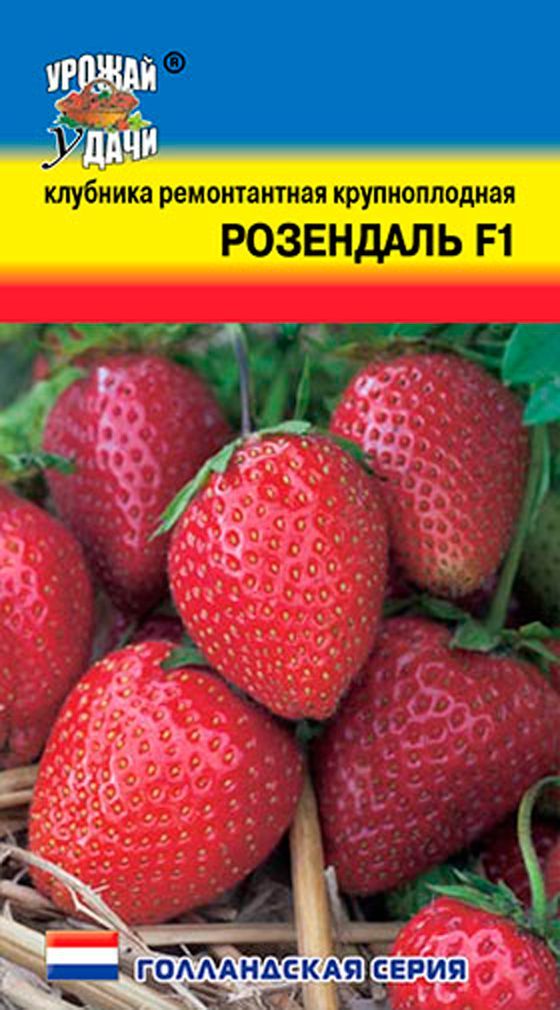 Семена Клубники Купить Оптом От Производителя