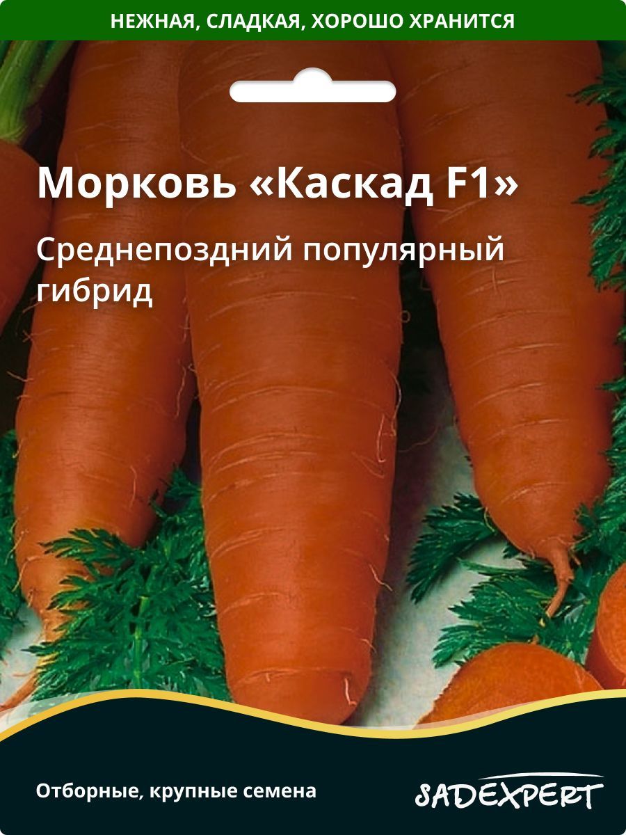 Каскад морковь описание. Морковь Каскад. Морковь Каскад f1 0,5гр (поиск). Морковка Каскад упаковка. Морковь Каскад f1 (Гавриш) (галандия).