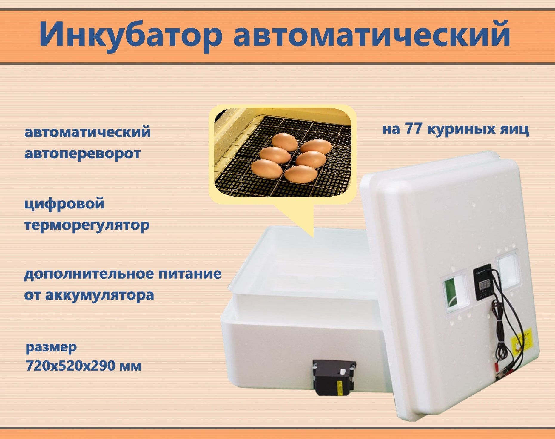 Инкубатор автоматический несушка 77. Автоматичний регулятор температури. Автоматизированных термостатов для отелей. Инк.(45)-36 яиц 220/12в цифровой терморегулятор.