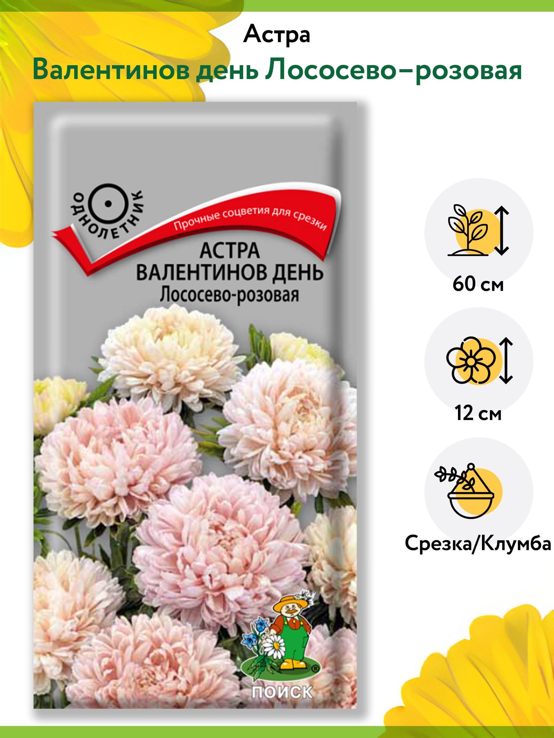 Астра Валентинов день Лососево-розовая (1 упаковка - 0,2 г). Семена  однолетних цветов для сада, клумбы, срезки, букетов. Агрофирма 