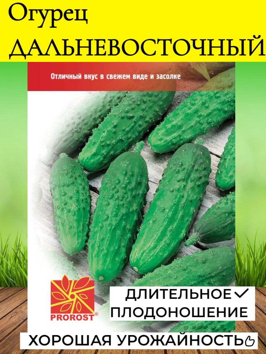 Огурец Дальневосточный. Огурец Дальневосточный 27. Огурец Дальневосточный в разрезе. Огурец Дальневосточный 27 в разрезе.