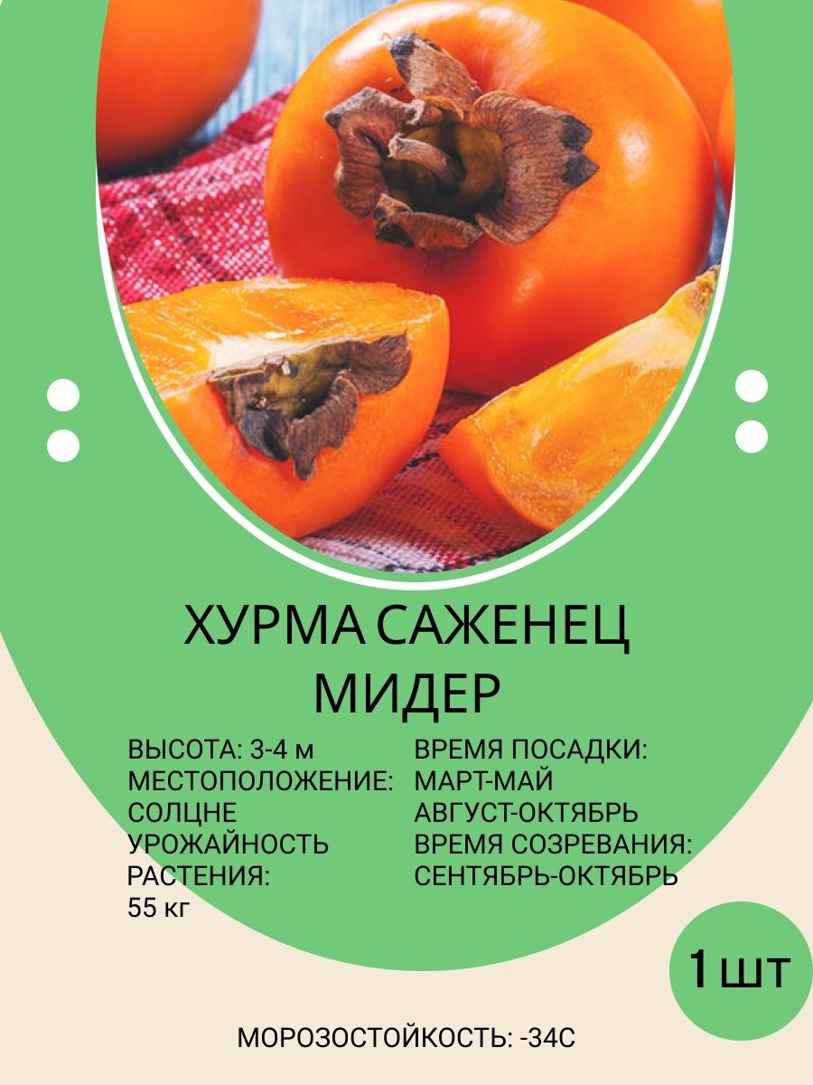 Саженцы Хурмы Купить В Пензе