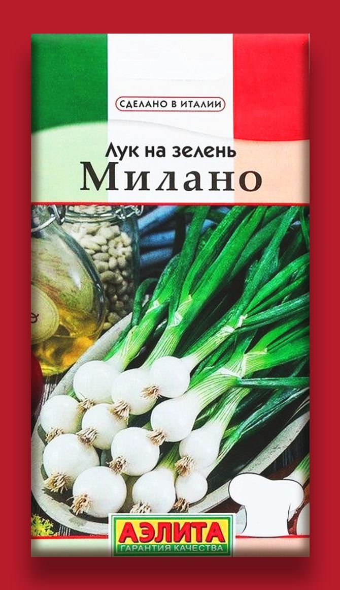 Агрофирма лучники. Лук на зелень Милано. Лук батун русский зимний. Лук на зелень семена. Аэлита семена лука.