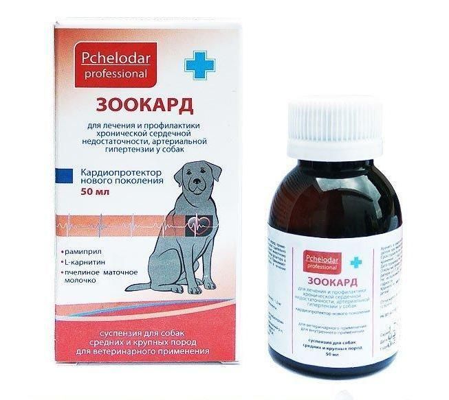 Зоокард для кошек