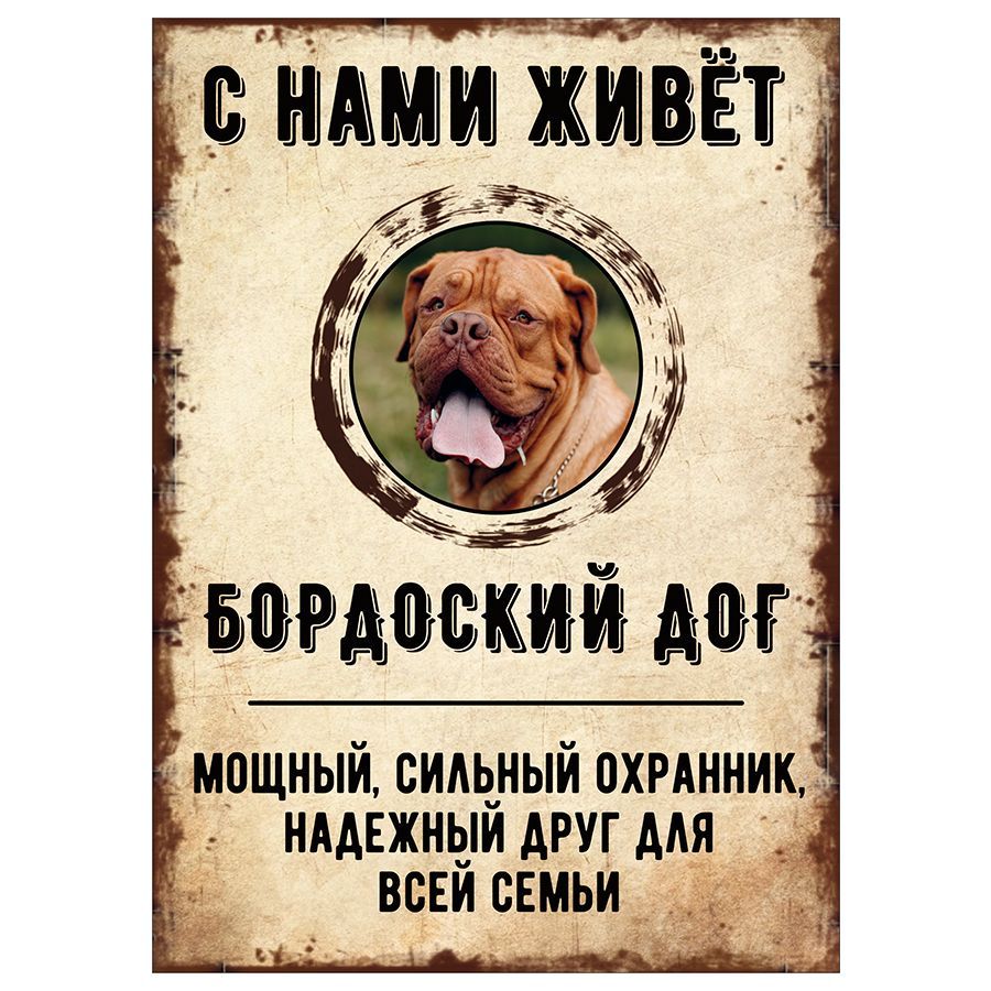 Табличка, декоративная, DANGER DOG, С нами живет Бордоский дог, 18см х  25см, 25 см, 18 см - купить в интернет-магазине OZON по выгодной цене  (851364001)