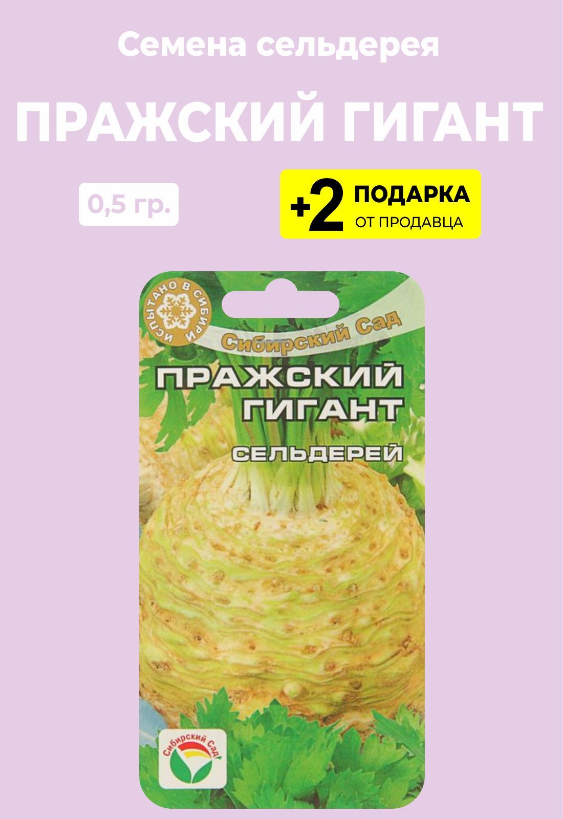 семена сельдерей корневой "яблочный". сельдерей пражский гигант. сельдерей корневой пражский гигант. сельдерей пражский гигант многолетник?. сельдерей пражский гигант.