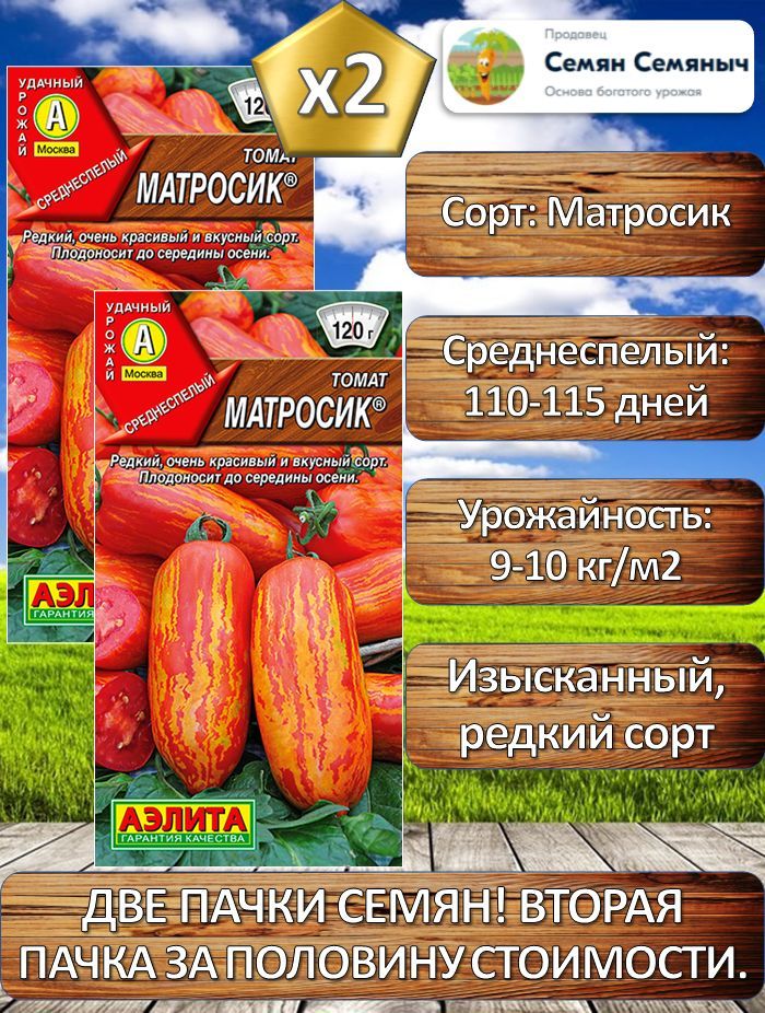 томат матросик отзывы характеристика. томат шоколадный заяц. полосатый баклажан сорта аэлита. томат матросик отзывы характеристика. томат матросик отзывы характеристика.