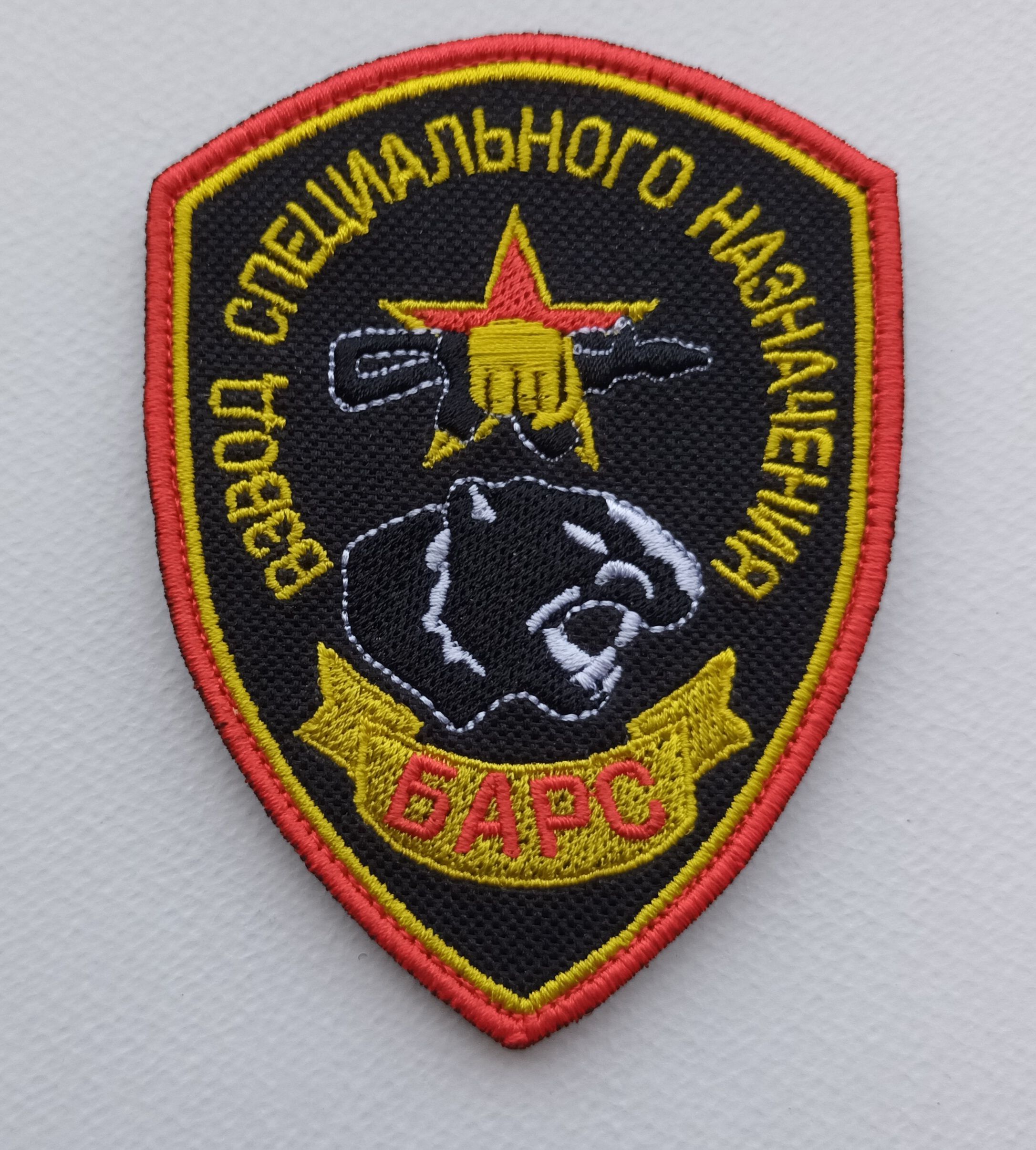 Спецназ барс волгоград. Вч 3027 барс. Осн барс волгоград. Специального назначения барс. Специального назначения барс.