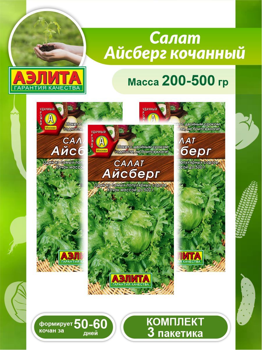 Семена Салата Айсберг Купить В Минске