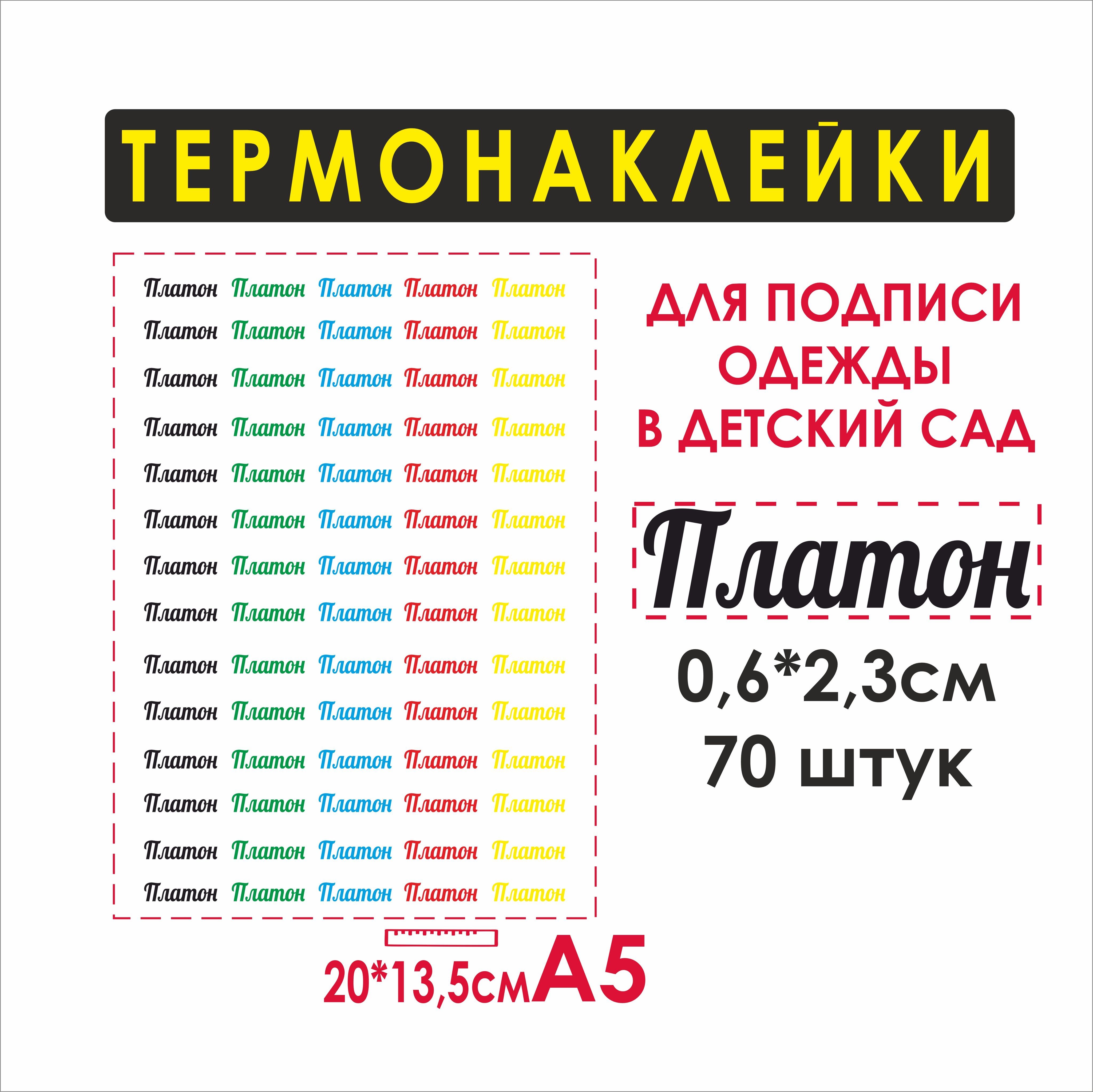 Именные термобирки для одежды Платон, 70шт - купить с доставкой по выгодным  ценам в интернет-магазине OZON (1081519508)