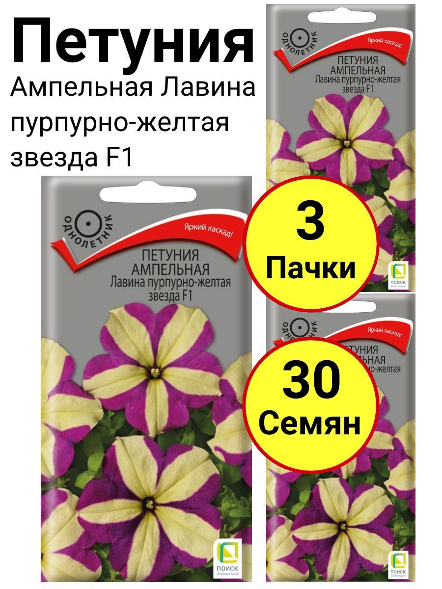 петуния лавина пурпурная-желтая звезда. петуния лавина пурпурная звезда ампельная f1 10гран. лавина пурпурно желтая. лавина пурпурно желтая. петуния поиск лавина пурпурно-желтая звезда.