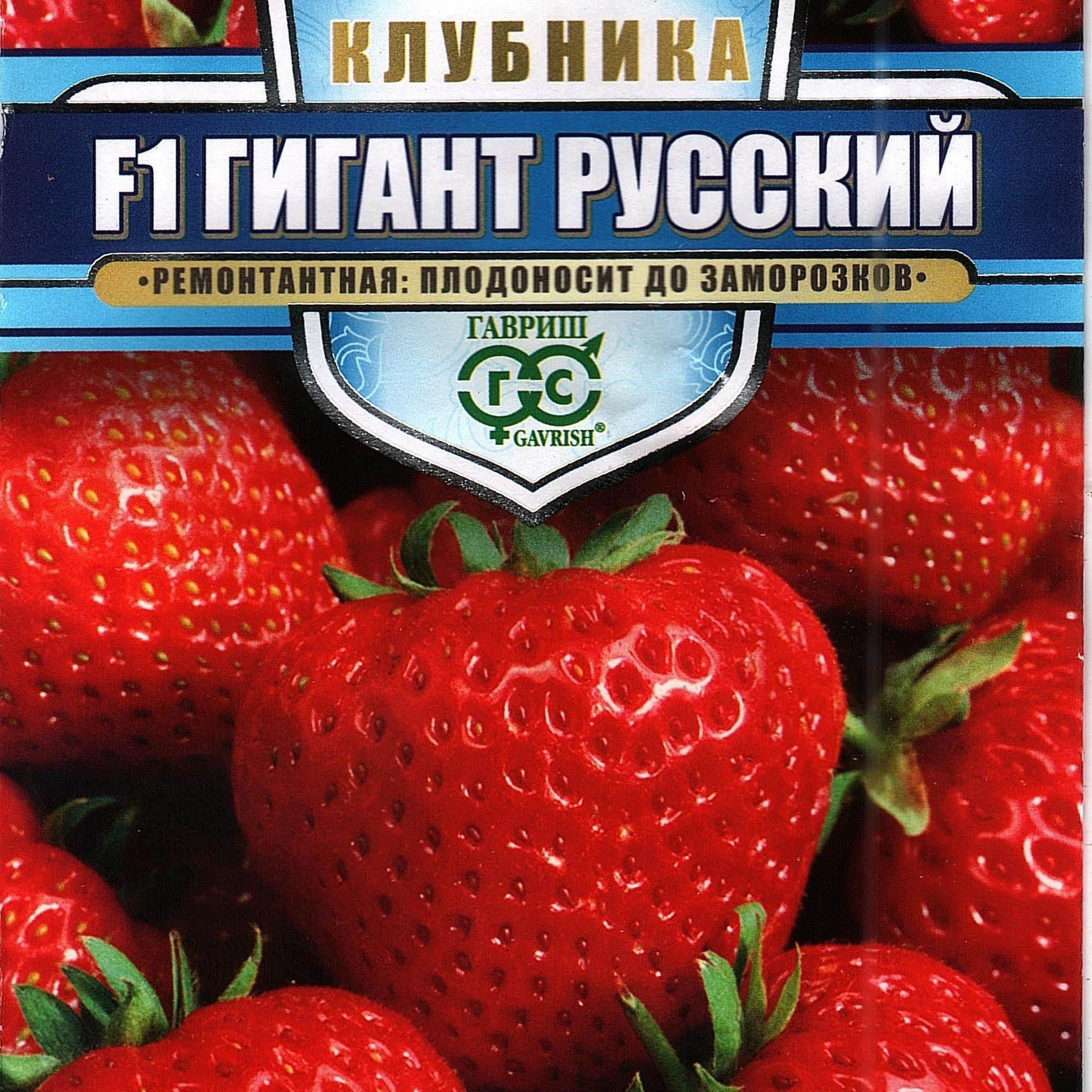 Клубника F1 Русский гигант, многолетник ( 1 уп: 5 семян)