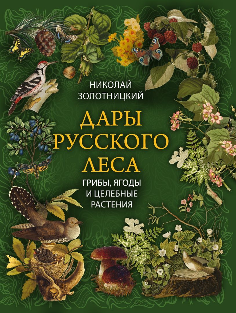 Дары русского леса. Грибы, ягоды и целительные растения | Золотницкий Николай Федорович