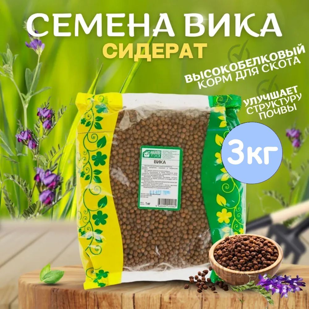 Сидерат вика (мышиный горох). Вика яровая растение. Вика растение сидерат. Овес вика сидераты. Вика яровая сидерат.