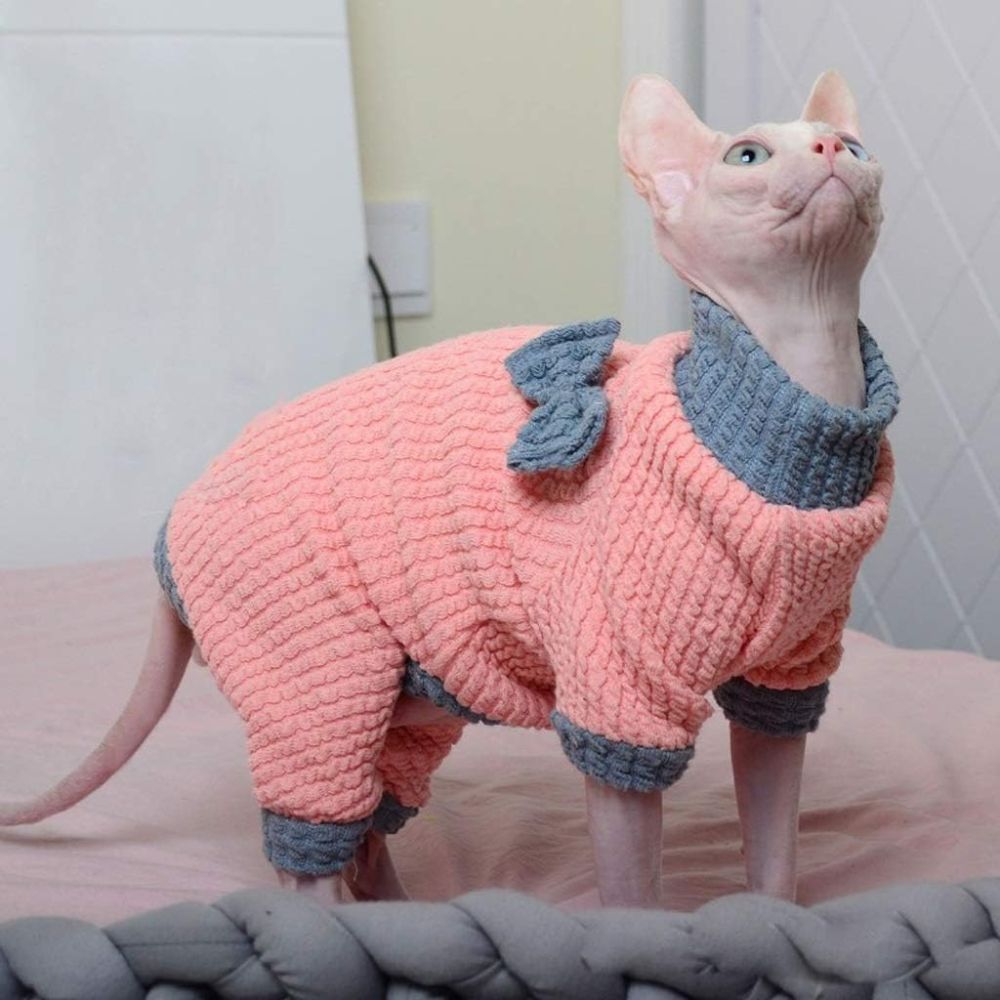 Вязаный свитер для сфинкса