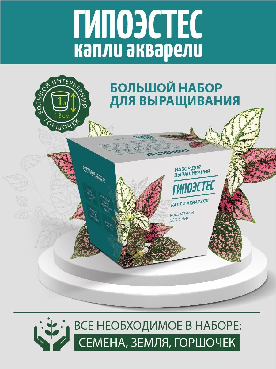 Набор для выращивания ЭкоКлуб, Гипоэстес, Многолетник купить по выгодной  цене в интернет-магазине OZON (1148412727)