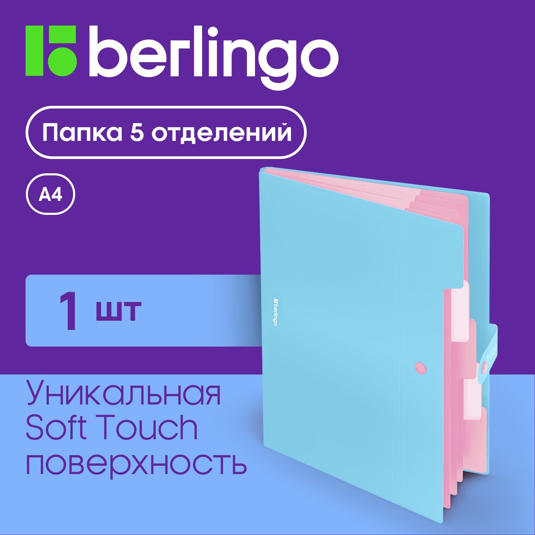 ПапкаорганайзердлядокументовBerlingoHaze,5отделений,семейная,А4,накнопке