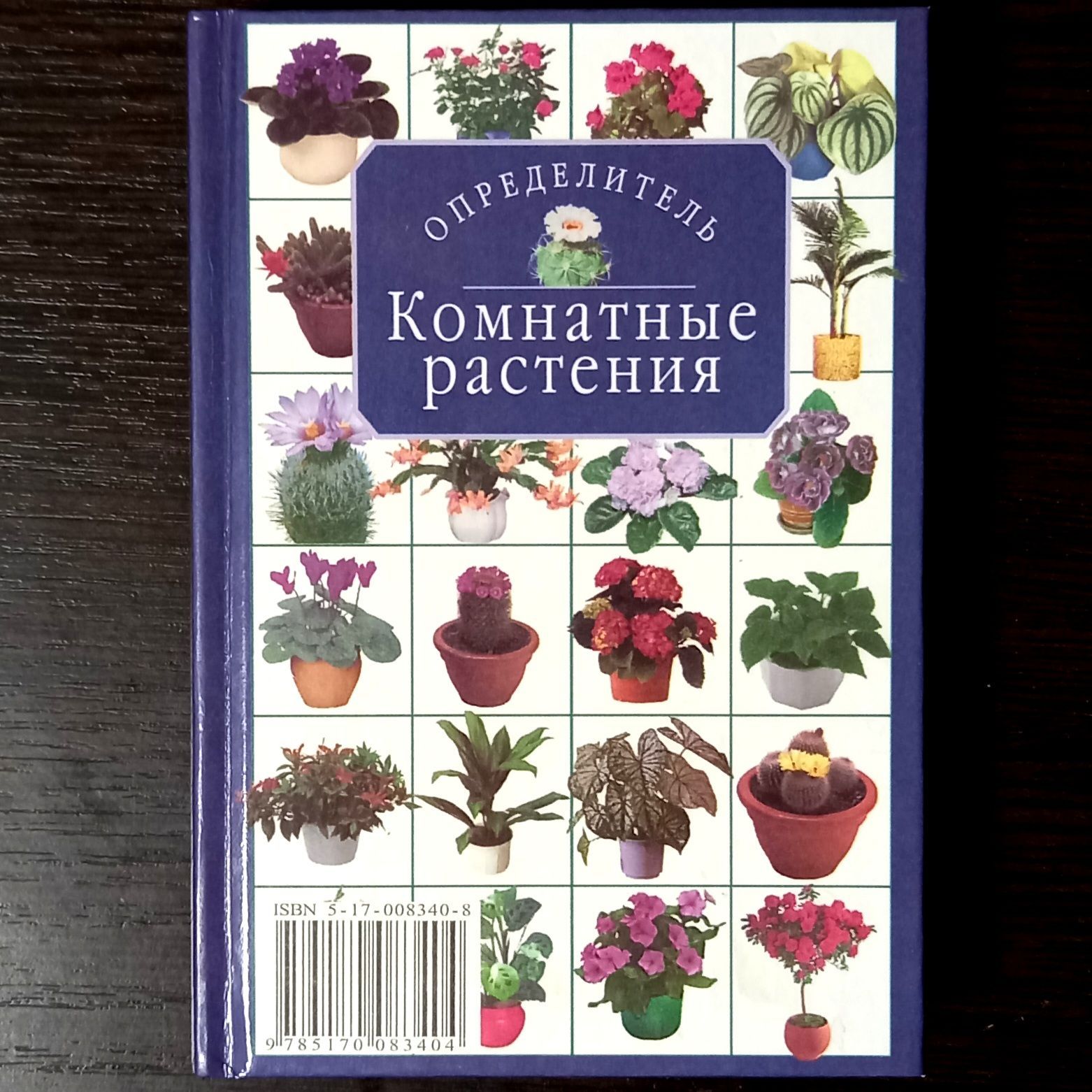 Комнатные растения. Определитель | Титова Ксения Дмитриевна