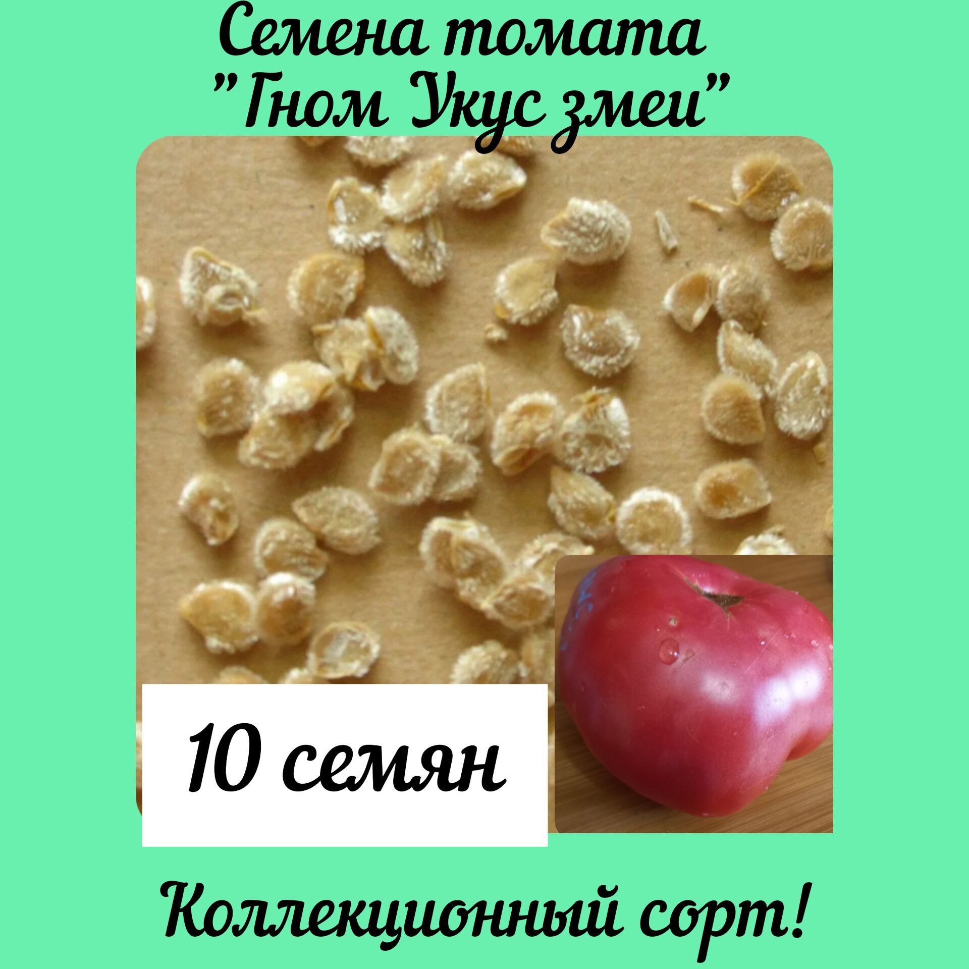 Гном укус змеи томат описание. Томат гном укус змеи. томат гном укус змеи описание фото отзывы.