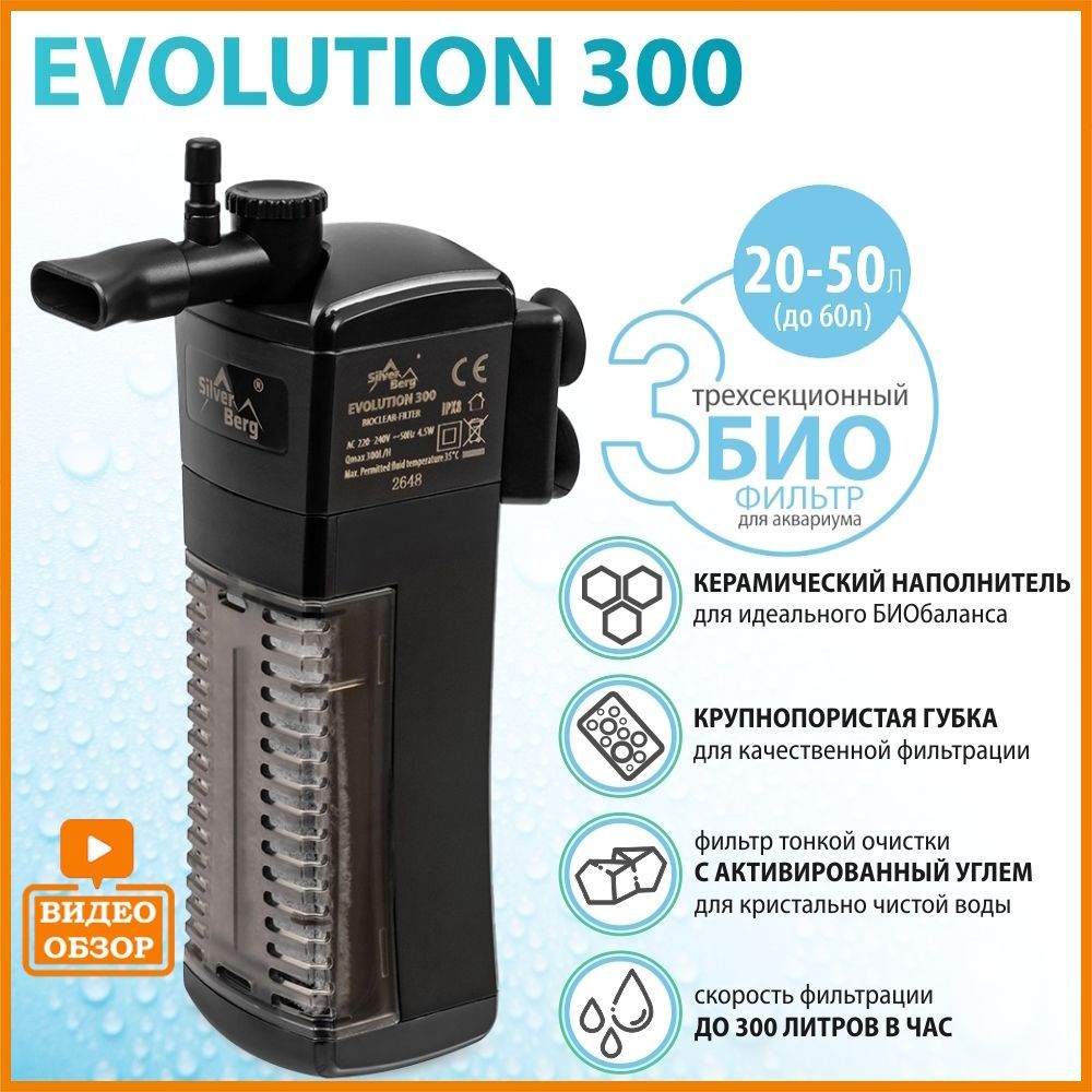 Берг эволюция. Smart EVO 300d.