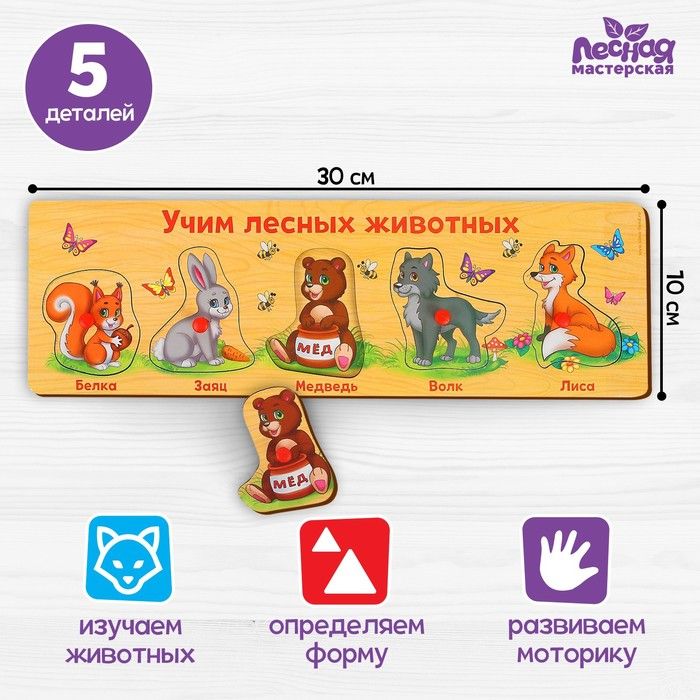 Изучаем лесных