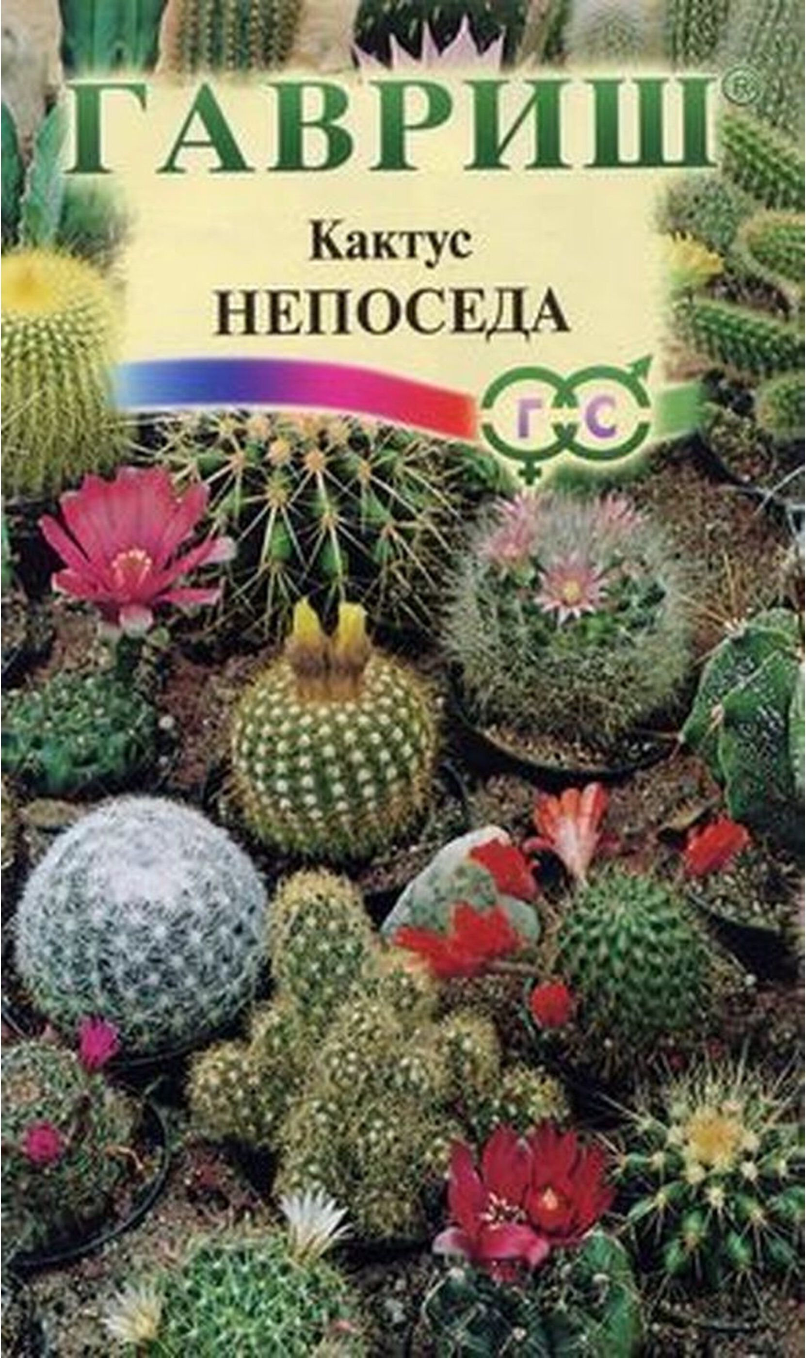 Семена комнатных цветов. Кактус Непоседа Гавриш. Кактус Непоседа смесь Гавриш семена. Семена кактуса Гавриш Непоседа. Семена кактуса Гавриш Кактус Непоседа.