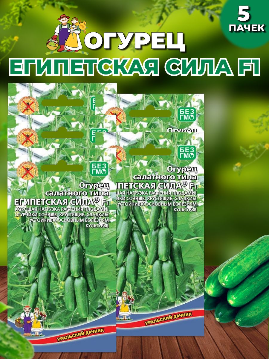 Семена Огурцы Уральский Дачник Купить