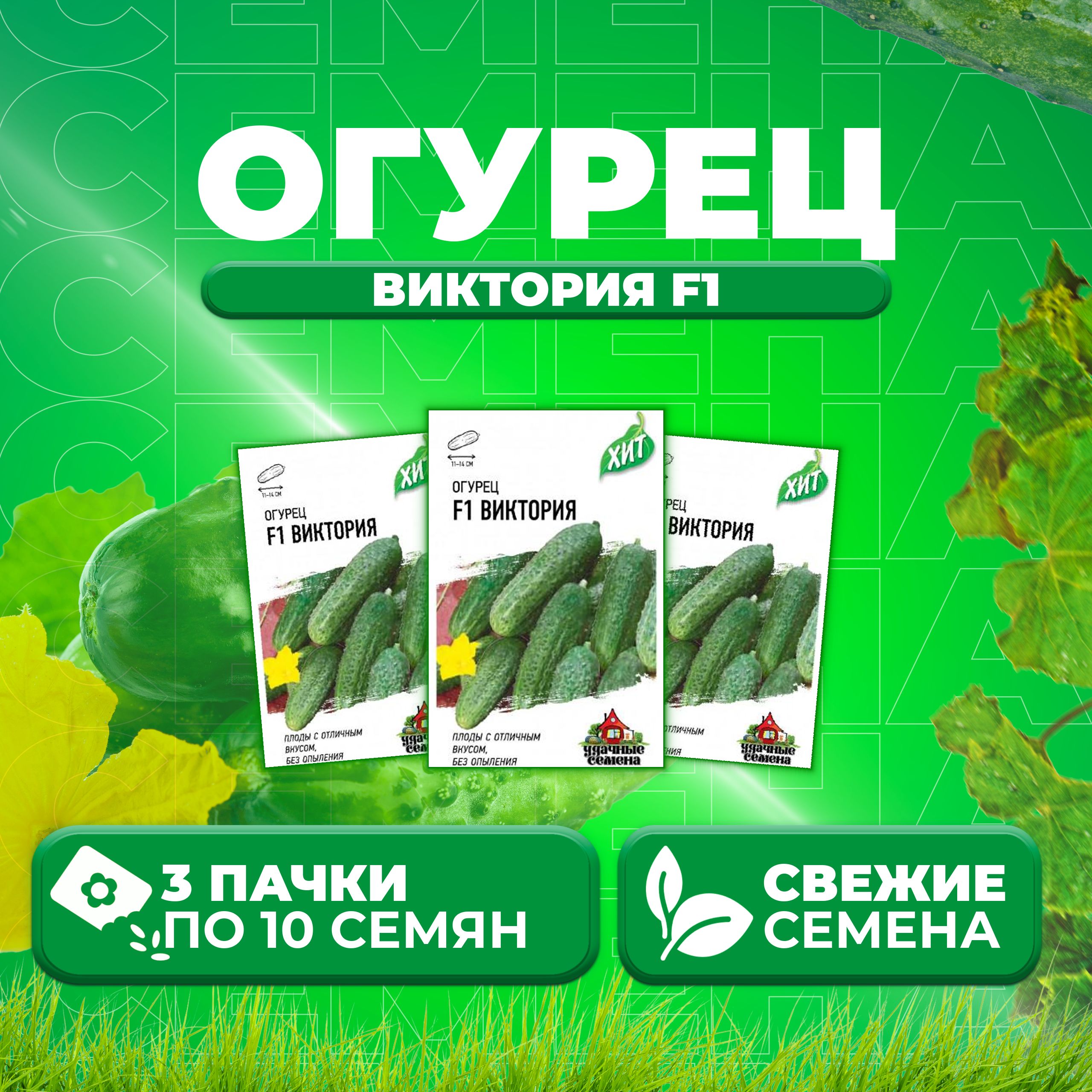 Огурец Виктория Семена Купить В Смоленске