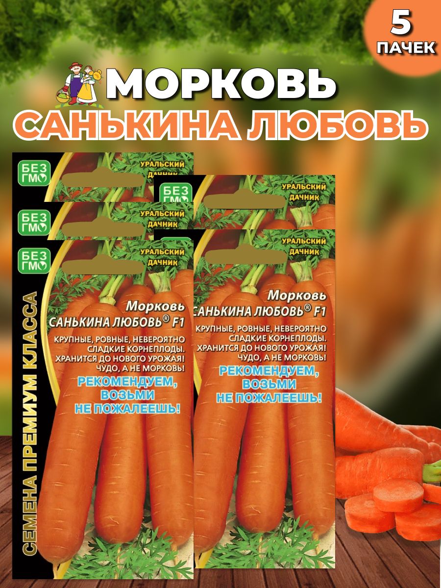 Морковь Санькина Любовь Фото