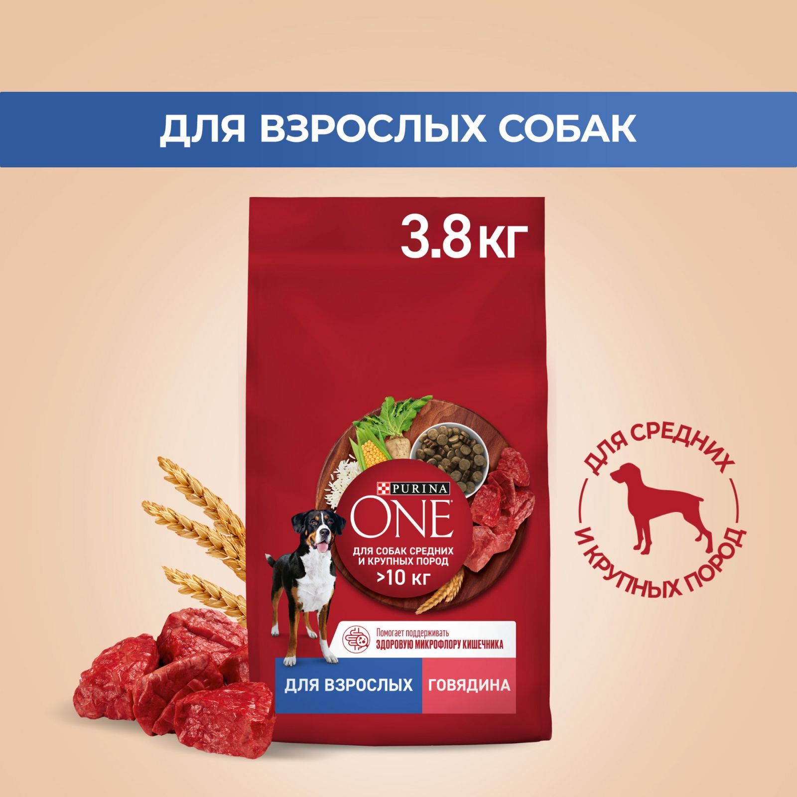 Сухой корм для собак Purina ONE для средних и крупных пород, с говядиной и  рисом, 3,8 кг