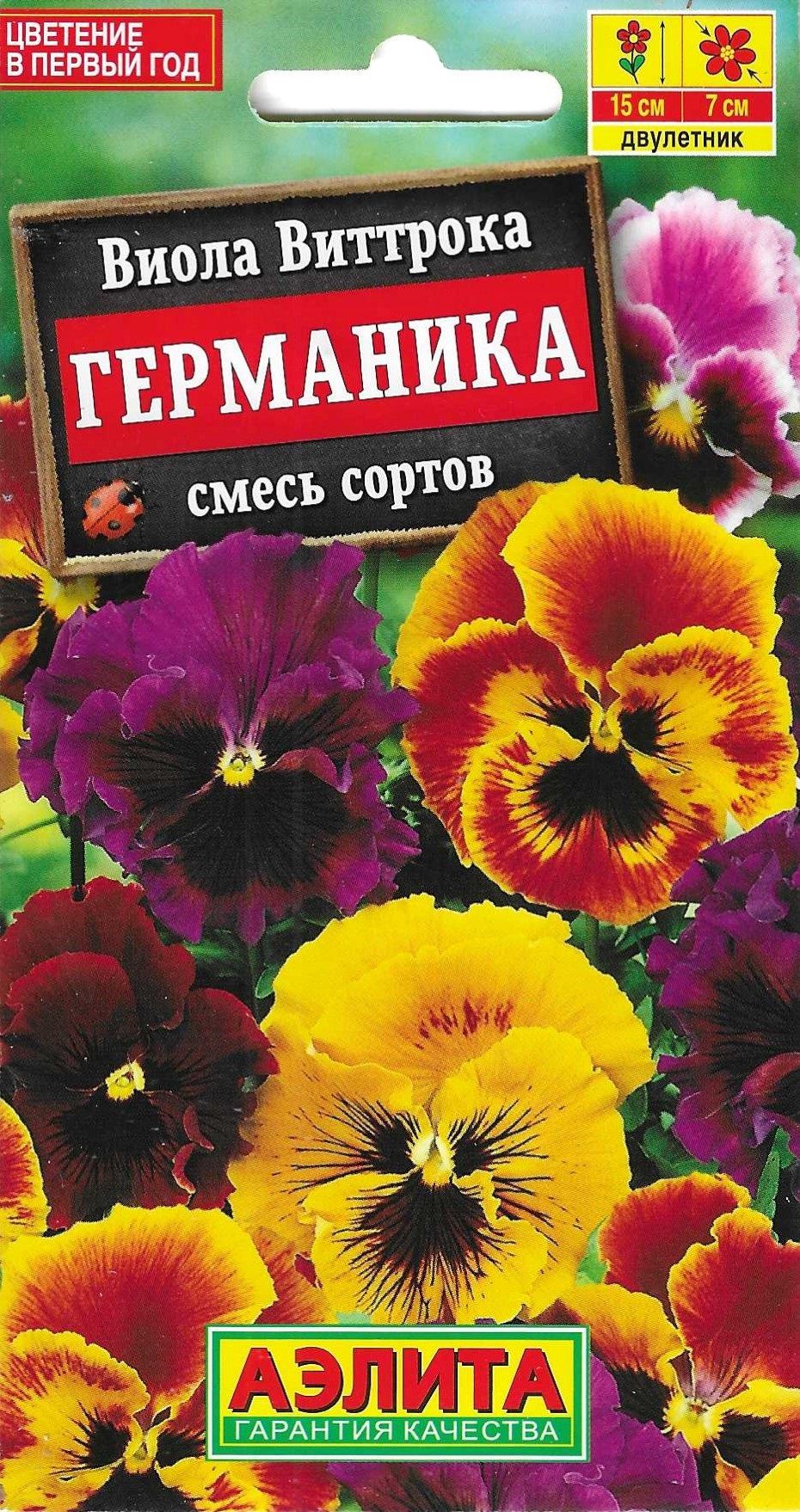Семена Виолы Купить В Интернет Магазине