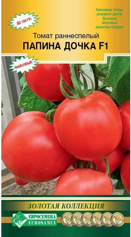 Папина дочка семена томатов. Томат папина дочка f1 характеристика и описание. Папина дочка томат отзывы описание сорта. Семена помидоры папина дочка. Семена папина дочка.