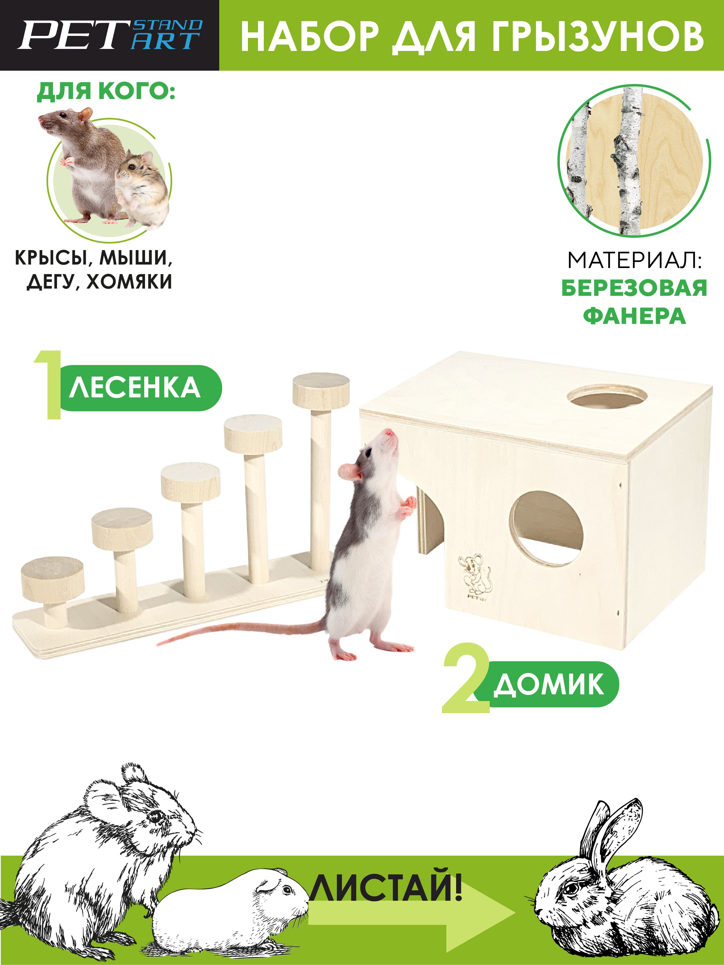 Набор для грызунов Домик и лесенка, PetStandArt, Размер M - купить с  доставкой по выгодным ценам в интернет-магазине OZON (1348746214)