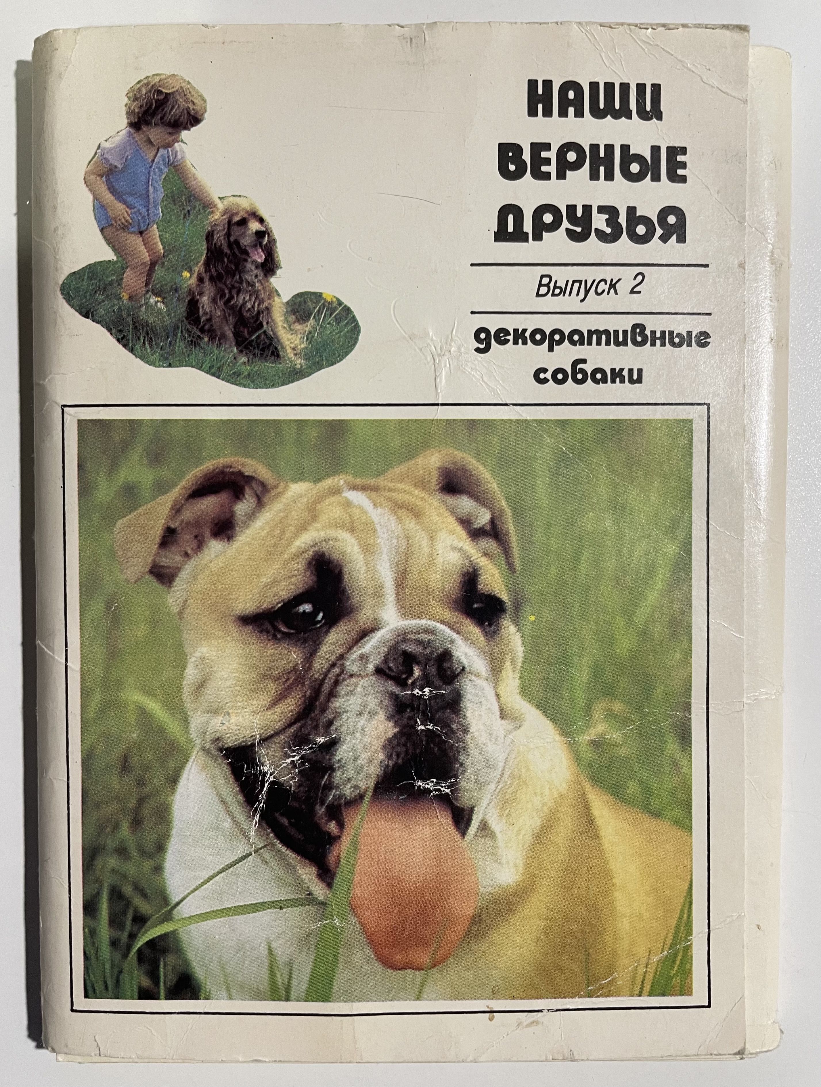 Верные друзья картинки