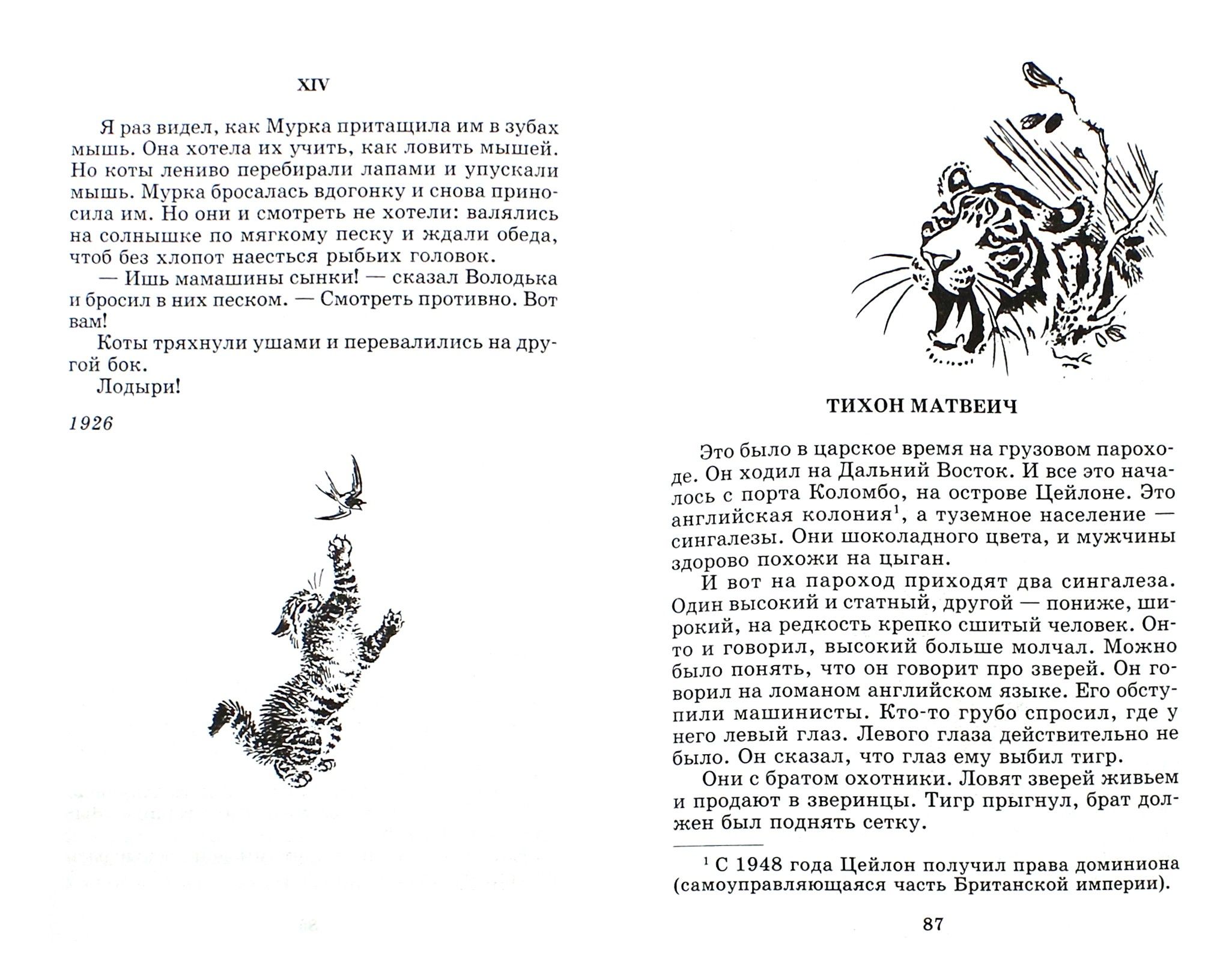 Жизнь и приключения чудака читать. Читать книгу что бывало. Читать книгу что бывало. Житкова. Читать книгу что бывало.