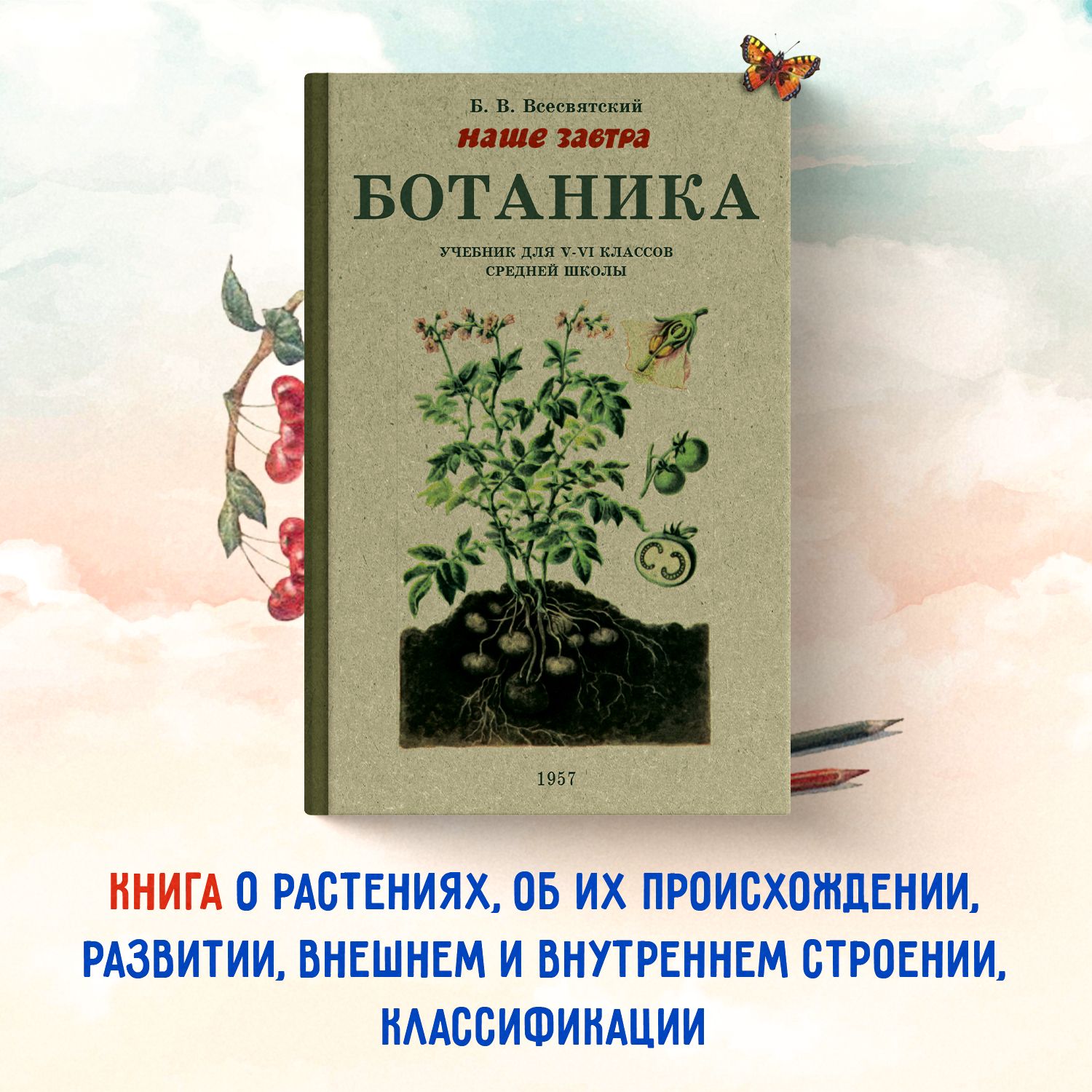 Ботаника. Учебник для 5-6 классов средней школы. 1957 год. Всесвятский Б.В.  | Всесвятский Борис Васильевич - купить с доставкой по выгодным ценам в  интернет-магазине OZON (674042646)