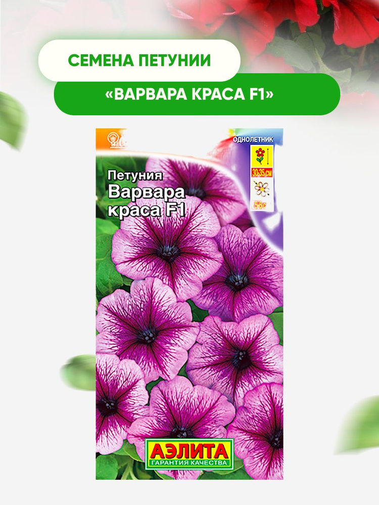 Петуния варвара краса f1 фото