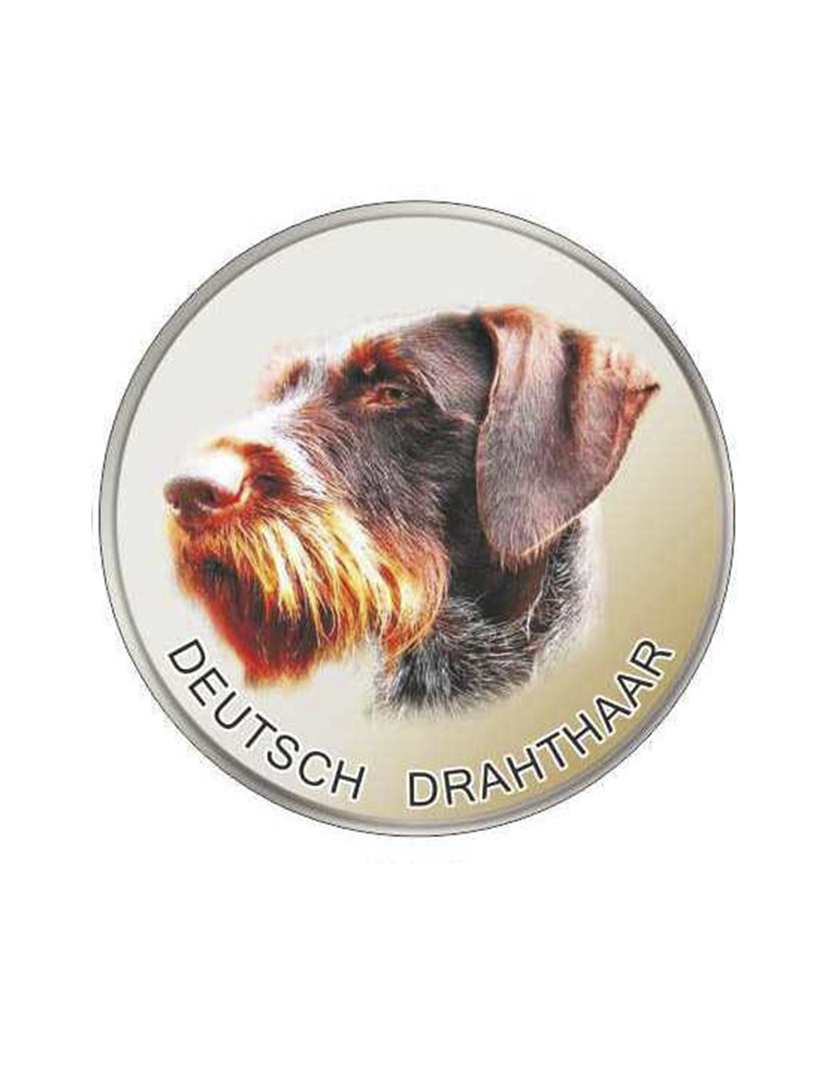Дратхаар Собака Фото Цена Характеристики И Отзывы