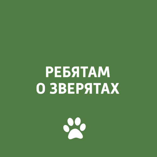 Дай Домой Интернет Магазин