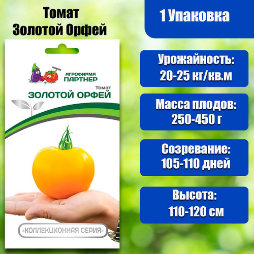 Описание томата с оранжевыми плодами Золотая теща и правила выращивания гибридно