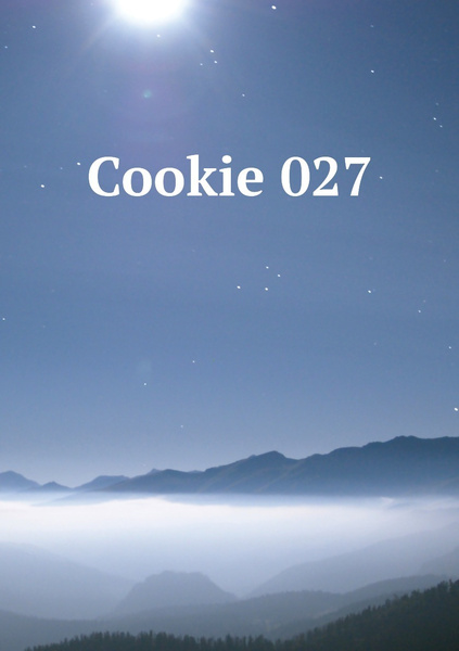 Cookie 27