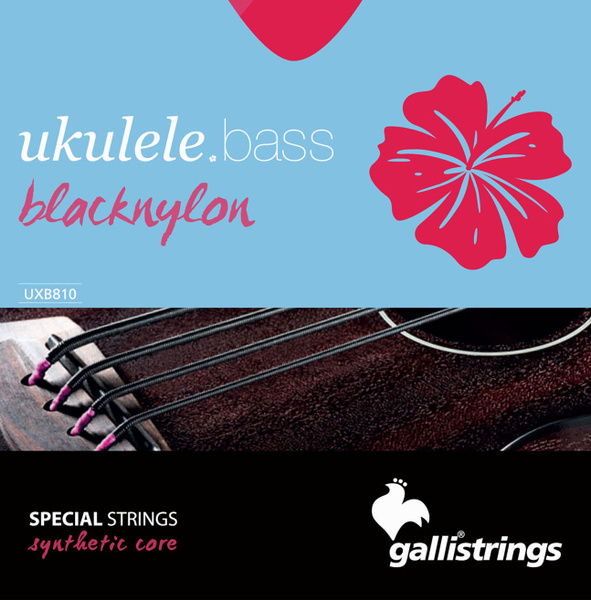 Струны для бас-укулеле GALLI STRINGS UXB810 - купить с доставкой по ...