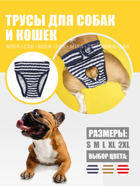 Трусы для животных на время течки, гигиенические трусы для собак ...