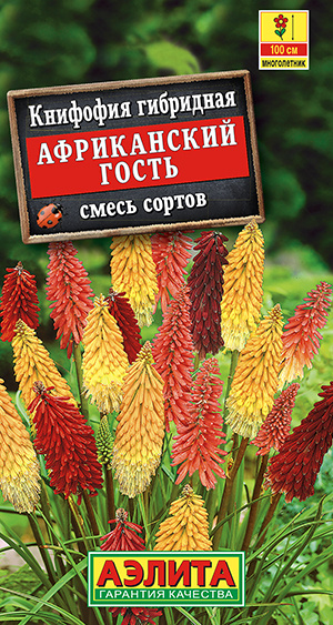 Книфофия Агрофирма Аэлита 01 - купить по выгодным ценам в интернет ...