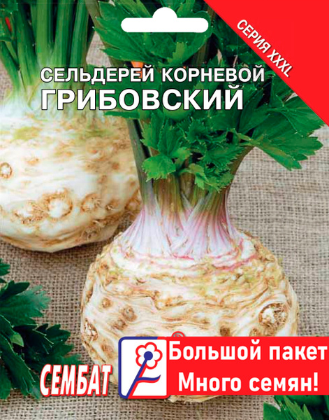 Сельдерей Сембат Корневой - купить по выгодным ценам в интернет ...
