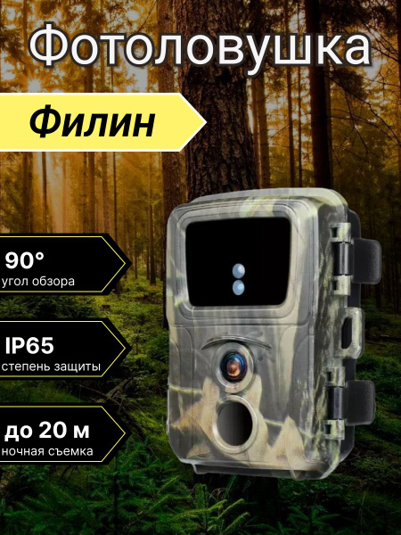 Фотоловушка - купить с доставкой по выгодным ценам в интернет-магазине ...